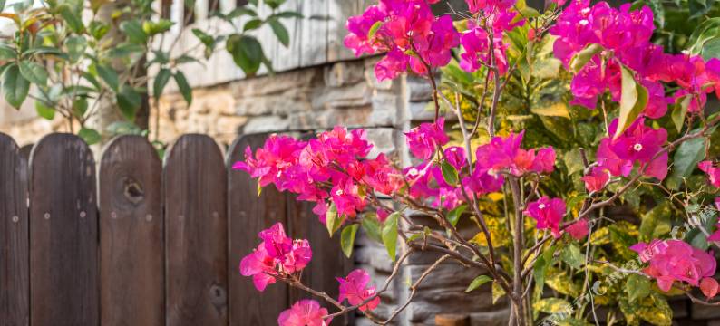 鼓浪屿魔庭别苑旅馆图片