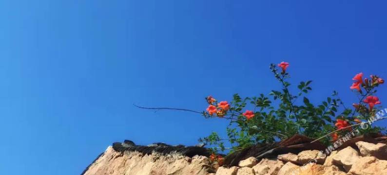 舟山东极岛青山浪青年旅舍图片