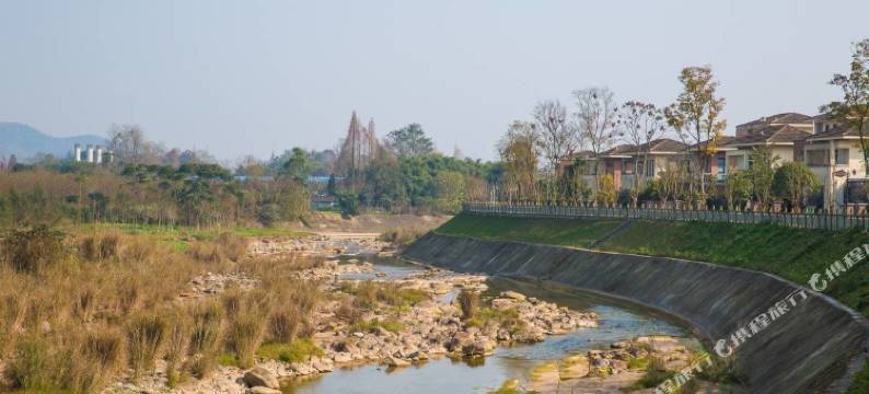 成都聚鑫美墅度假别墅(平阳北四街店)图片