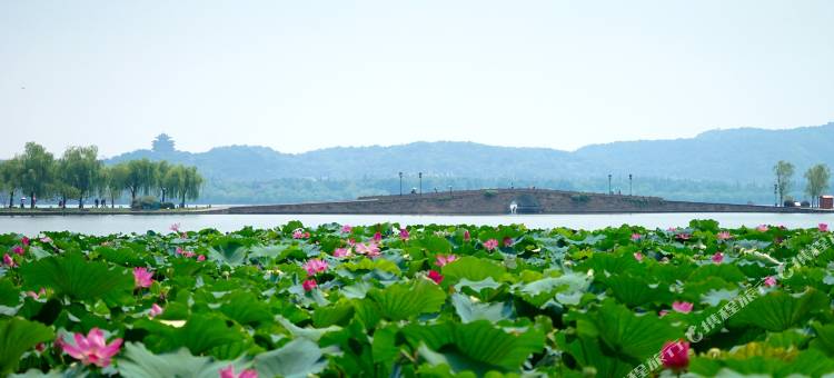 书香世家酒店(杭州武林广场店)图片