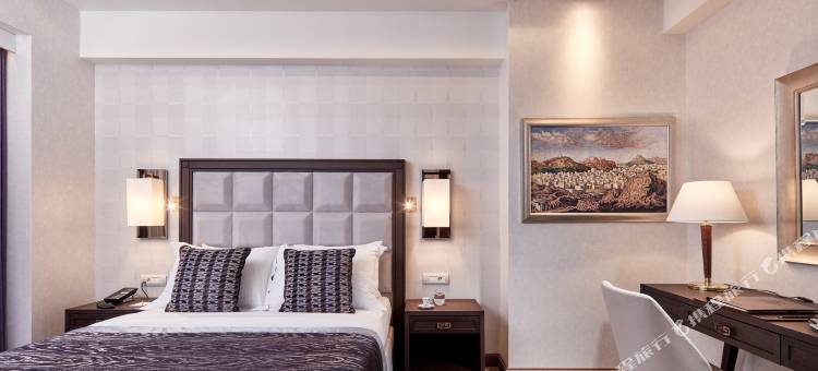 埃雷特拉都市酒店(Electra Metropolis)图片