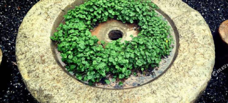 安吉江源印象民宿图片