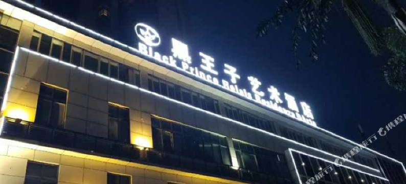 黑王子艺术酒店(泸州龙马潭区政府店)图片