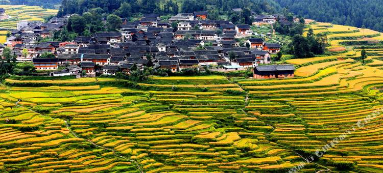 丹寨迎宾馆图片