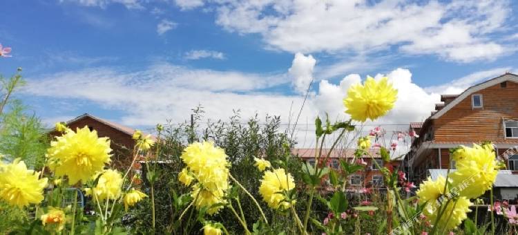 额尔古纳室韦多利亚之家图片