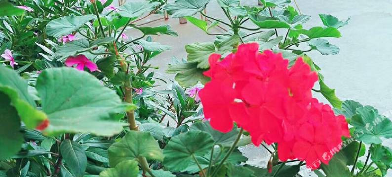 双峰梦缘民宿酒店图片