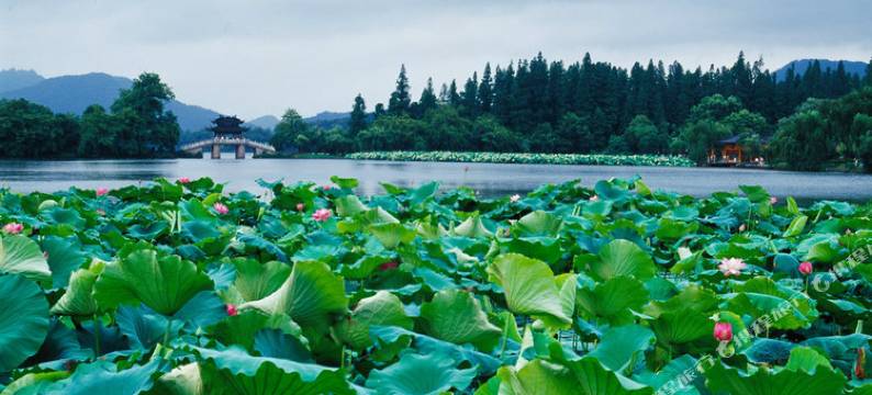 清河酒店(杭州西湖河坊街店)图片