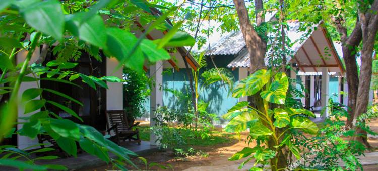 锡吉里亚帕尔迈拉自然度假村(Palmyra Nature Resort Sigiriya)图片
