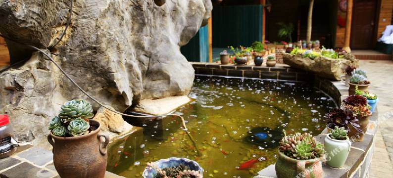 普者黑梵之雨酒店图片