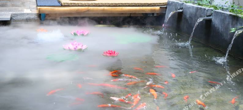 凤凰山前月下江景民宿图片