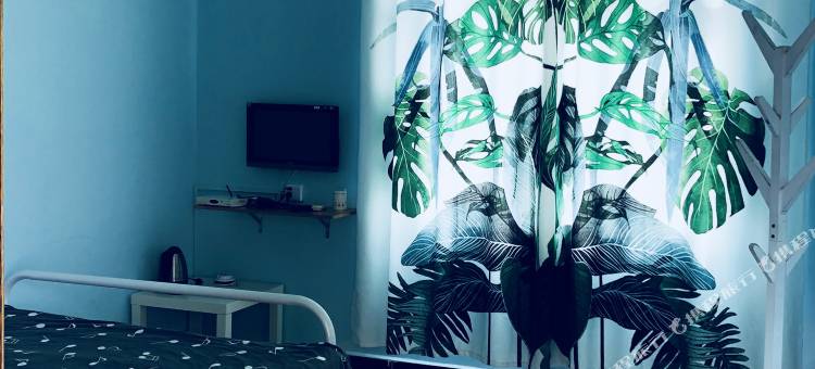 涠洲岛花儿开了海边客栈图片