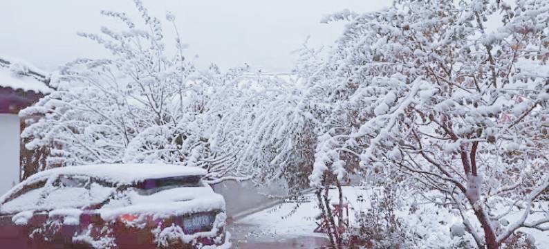 黑水山居日记精品民宿图片