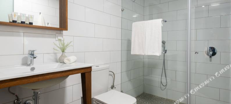 特拉维夫大使馆酒店(Embassy Hotel Tel Aviv)图片