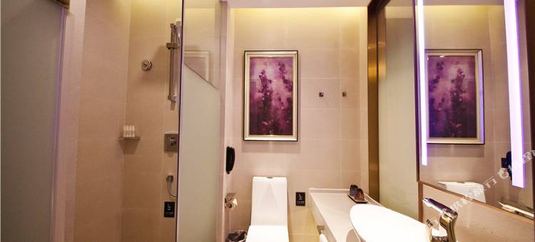 麗枫酒店(高铁南站长沙大道地铁站店)图片