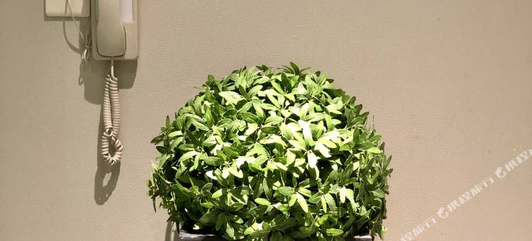 如家商旅酒店(武汉万松园美食街取水楼地铁站店)图片