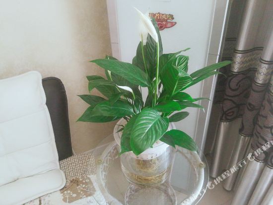 咸阳合合温情民宿