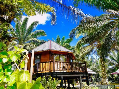 仙本那完美森态度假村 (24小时中文管家+免费镇上/码头接送班车)(Perfect Forest Eco-Resort)