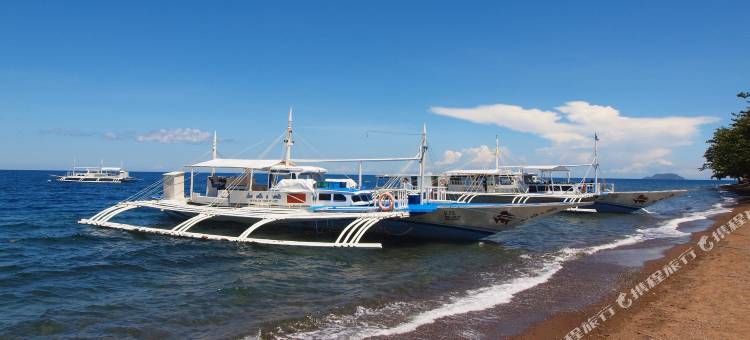 道因维达家庭公寓度假村(Vida Homes Condo Resort Dauin)图片