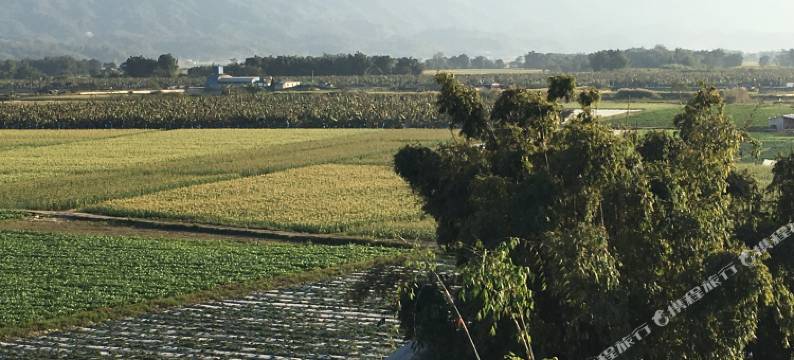 瑞丽曼景来民宿客栈图片