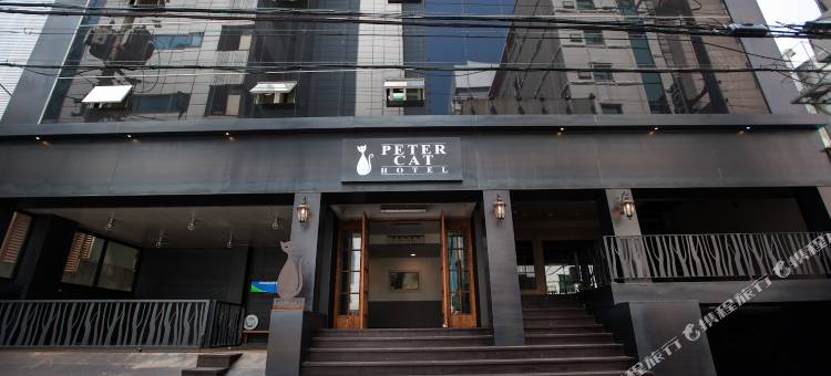 弘大新村彼得猫酒店(Petercat Hotel Shinchon)图片