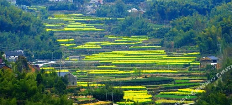 杭州子川民宿图片
