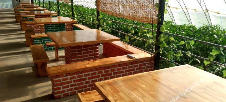 额尔塔拉蒙古包绿色庄园图片