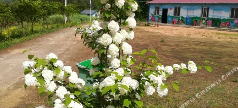 汉中桓源农家乐民宿图片