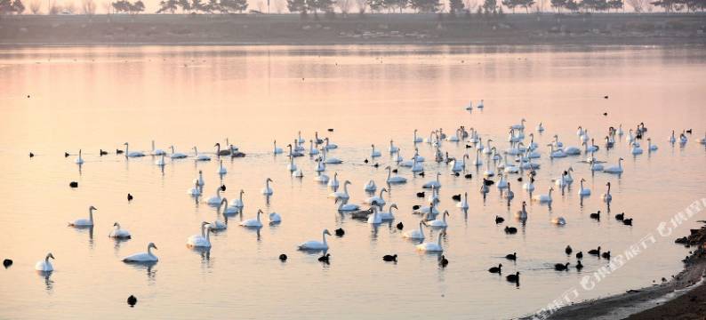 荣成自在澜湾海景公寓图片
