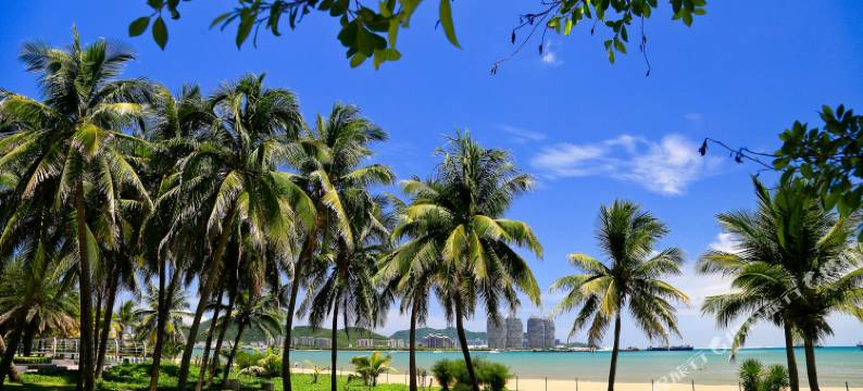 聆海渡海边度假公寓(三亚湾椰梦长廊店)图片