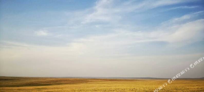 希拉穆仁草原蒙古大营自驾游营地图片