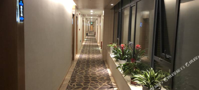 金澜假日酒店(武汉科普公园地铁站店)图片