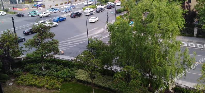 杭州春天见图片