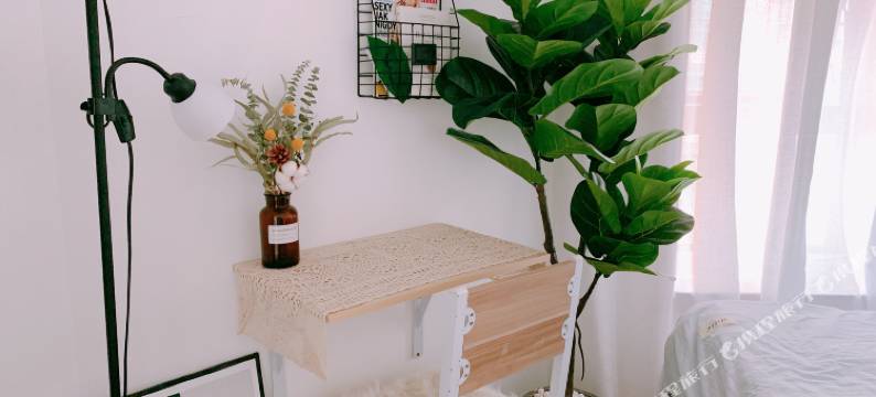 深圳One Piece主题青年旅舍(会展中心店)图片