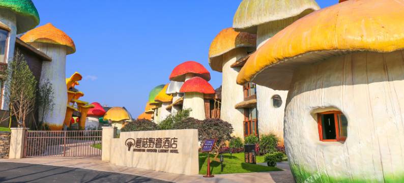 兴义蘑菇野奢酒店图片