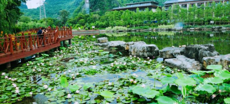 桂林芃雨民宿图片