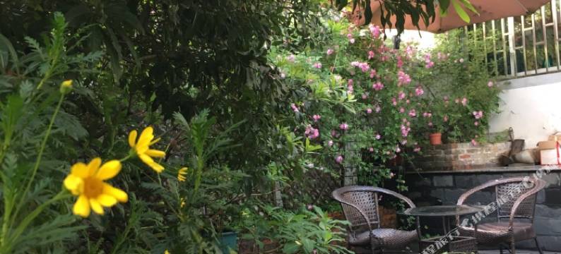 婺源迷雾国际青年旅社图片