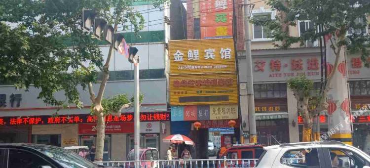 博爱金鲤宾馆图片