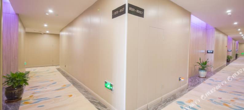 平阳益鑫豪大酒店(万洋广场店)图片