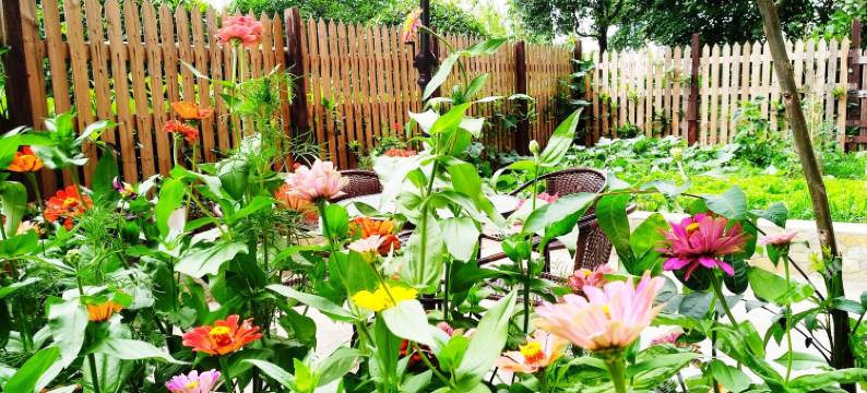 苏州遇见大城小院图片