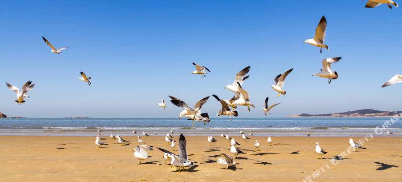 威海海景家庭房普通公寓图片