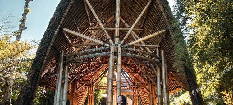 巴厘岛门都莫丁庄园自然度假村及水疗中心(Munduk Moding Plantation Nature Resort)图片