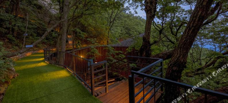 1866云景星宿(老君山景区中天门广场店)图片