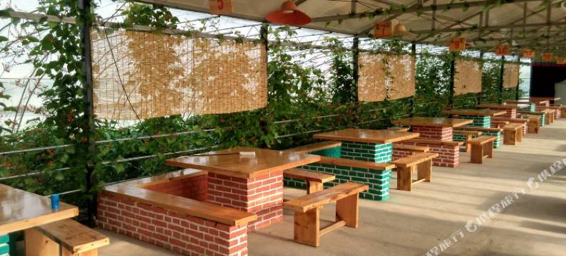 额尔塔拉蒙古包绿色庄园图片