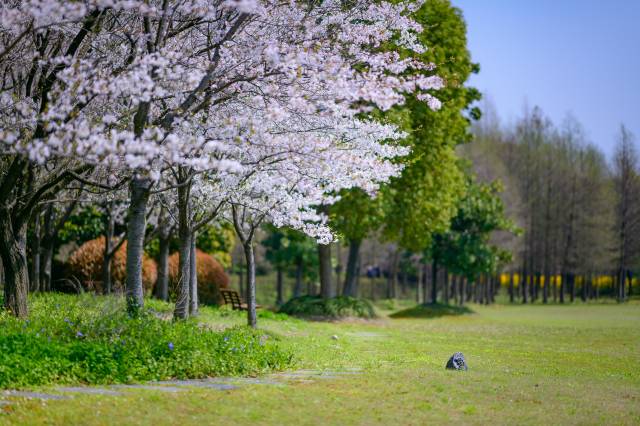 上海衡山北郊宾馆图片
