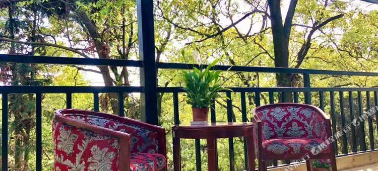 东方山桔子民宿图片