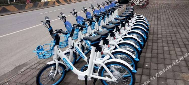 维也纳国际酒店(茂名电白店)图片