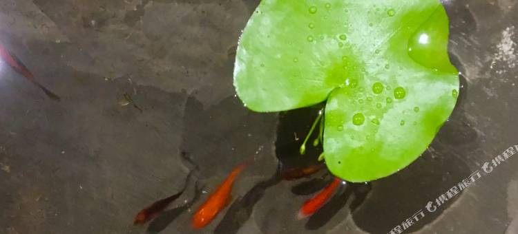 合舍客栈(潮州古城牌坊街广济桥店)图片