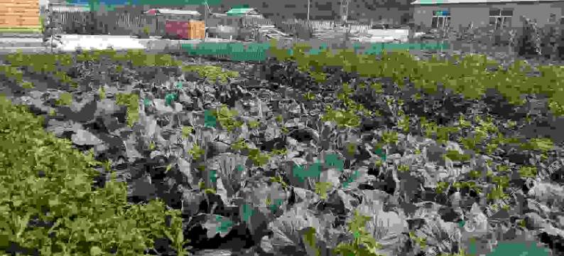 大勇旅游之家(额尔古纳室韦镇临江店)图片