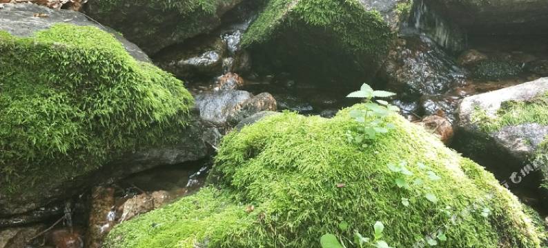 尚品公寓(平山龙溪谷小区店)图片