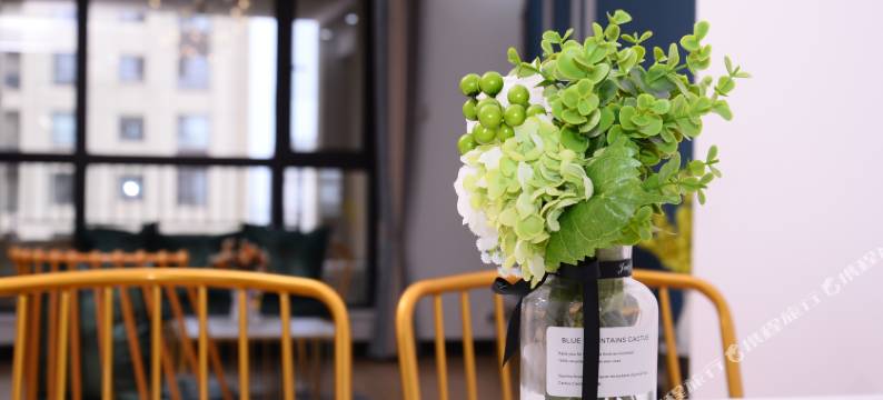 固安新机场民宿(3号店)图片